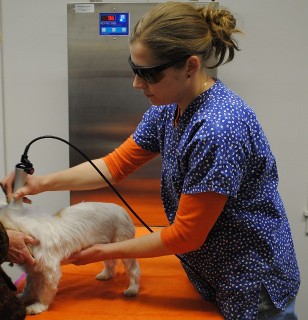 Class IV Laser Therapy