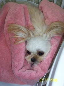 "Addy" Lambert in a blanket.