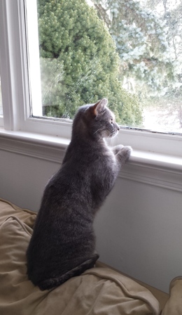 Bird watching!