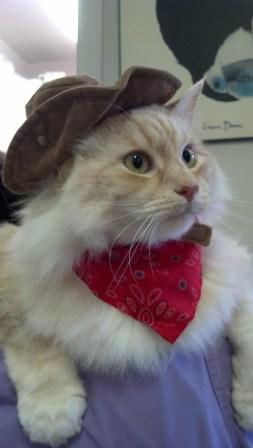 Omi dressed up for Halloween!!